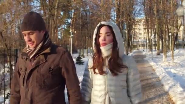 Attraente uomo e donna premuroso camminare nel parco invernale tenendosi per mano 4K tiro steadicam — Video Stock