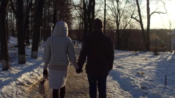 Mann und Frau gehen im Winterpark Händchen haltend 4k steadicam shot. zurück — Stockvideo
