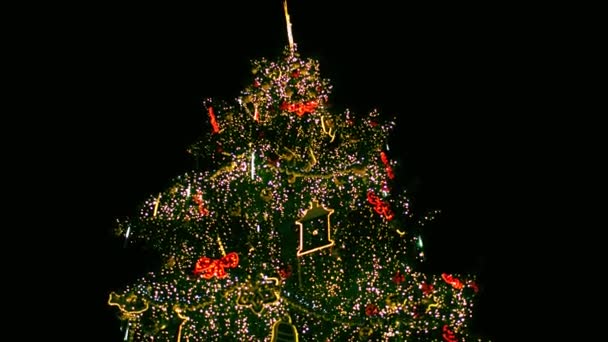 Steadicam-Aufnahme von im Freien geschmückten und beleuchteten Weihnachtsbaum in der Nacht. 4k-Video — Stockvideo