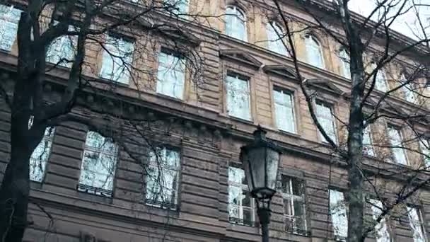 Steadicam colpo di alberi senza foglie contro il classico edificio europeo a Praga, Repubblica Ceca. 4K video ad angolo basso — Video Stock