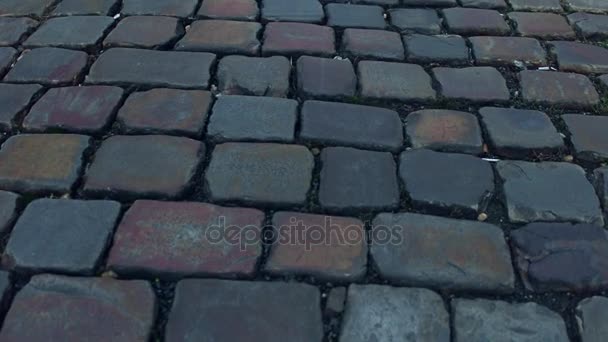 Ancient urban pavement close-up 4K steadicam video — Stock Video