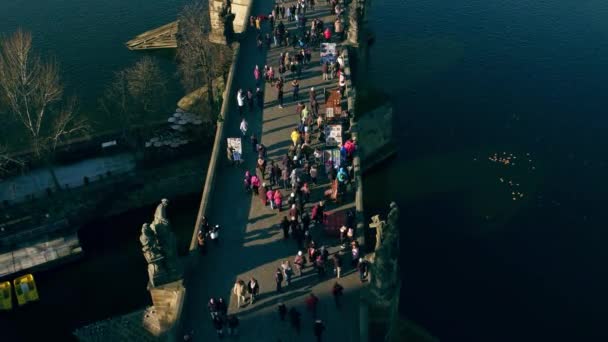 Güneşli bir günde, Çek Cumhuriyeti uzak Prag Kalesi ve Charles Köprüsü üzerinde yürüyen turist. 4k video eğimli, yukarıdan görüntüleme — Stok video