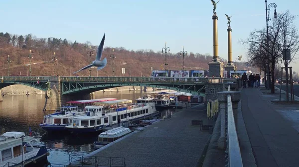 PRAGA, REPÚBLICA CHECA - 3 DE DICIEMBRE DE 2016. Botes de río Moldava, gaviota voladora y puente Cechuv. Lugares turísticos populares de la ciudad — Foto de Stock