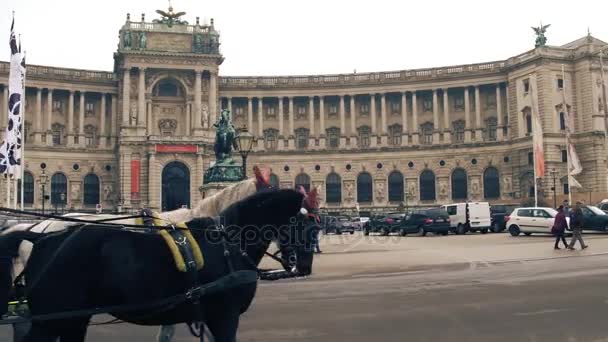 维也纳，奥地利-12 月 24 日，替身拍摄的复古马车反对奥地利国家图书馆在 Heldenplatz 上。热门的旅游景点。4 k 视频 — 图库视频影像