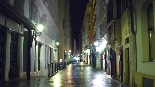 ВЕНА, Австрия - ДЕКАБРЬ, 24 Hyperlapse Рождества украшены узкой пешеходной улице в вечернее время. Популярное туристическое направление с магазинами и ресторанами. 4K клип — стоковое видео