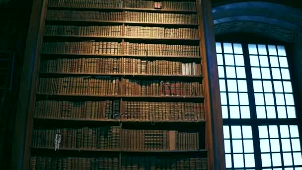 VIENA, AUSTRIA - DICIEMBRE, 24 Steadicam interior shot of Austrian National Library. Clip 4K — Vídeo de stock