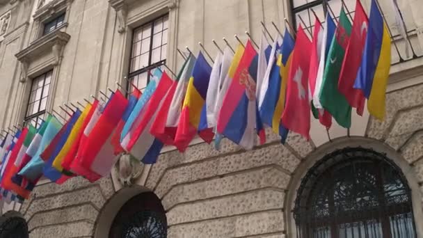 VIENA, ÁUSTRIA - DEZEMBRO, 24 Steadicam tiro de diferentes estados e Organização para a Segurança e Cooperação da OSCE na Europa agitando bandeiras. Vídeo 4K — Vídeo de Stock