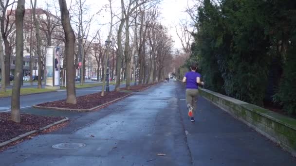 Wiedeń, Austria - 25 grudnia 2016 roku Steadicam strzał Runner mężczyzna w niebieskim działa na chodniku. wideo 4k — Wideo stockowe