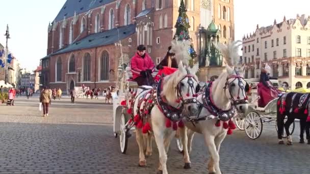 KRAKOW, POLÓNIA - JANEIRO, 14, 2017 Steadicam tiro de carruagem retro cavalo desenhado e Natal rua turística decorada. Vídeo 4K — Vídeo de Stock