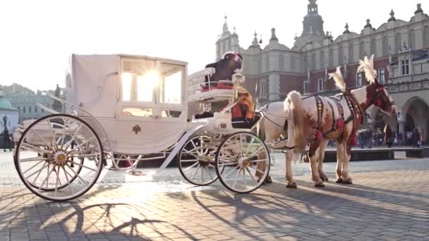 Krakow, Polen - januari, 14, 2017 Steadicam shot van retro paard getrokken vervoer en toeristische street. 4 k-clip — Stockvideo