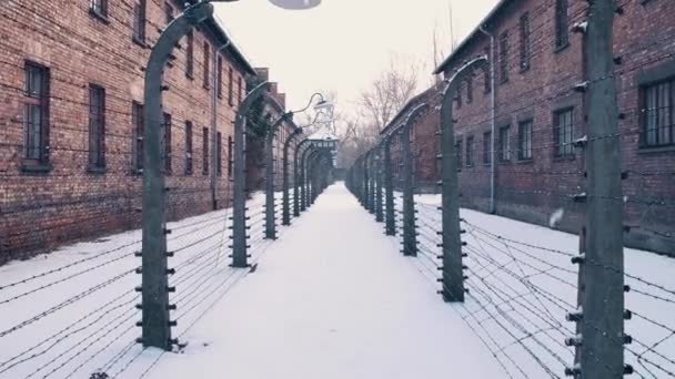 Steadicam promenad mellan taggtrådsstängsel. Auschwitz Birkenau, Nazitysklands koncentrations- och utrotningslägren camp. Baracker i fallande snö. 4k-video — Stockvideo