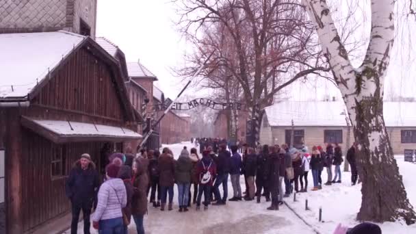 OSWIENCIM, POLONIA - 14 GENNAIO 2017 Visita guidata vicino all'ingresso di Auschwitz Birkenau, campo di concentramento e sterminio nazista tedesco. 4K pan video — Video Stock