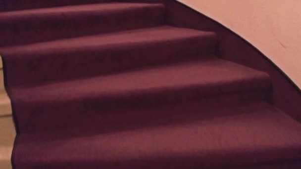 Steadicam крупним планом знімок загальних старих будівельних сходів, покритих килимом. відео 4K — стокове відео