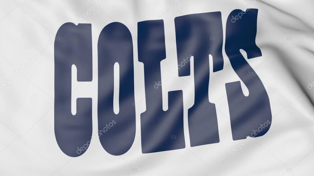 Close-up of waving flag with Indianapolis Colts NFL American football team logo, United States
