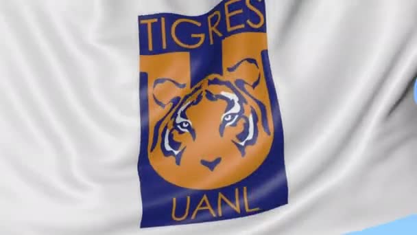 Close-up da bandeira acenando com o logotipo do clube de futebol Tigres UANL, loop sem costura, fundo azul. Animação editorial. 4K — Vídeo de Stock