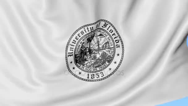 Detail mávat vlajkou s University of Florida emblém, bezešvé smyčka, modré pozadí. Redakční animace. 4k — Stock video