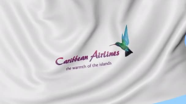 Flagge karibischer Fluggesellschaften vor blauem Himmel, nahtlose Schleife. redaktionelle 4k-Animation — Stockvideo