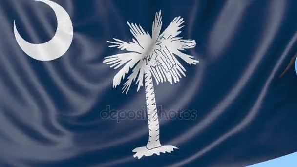 Mávání vlajkou státu Jižní Karolína proti modré obloze. Bezešvá smyčka 4k klip — Stock video