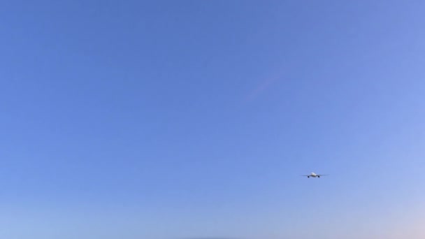 Коммерческий самолет прибывает в аэропорт Соача. Путешествие в Колумбию концептуальная 4K анимация — стоковое видео