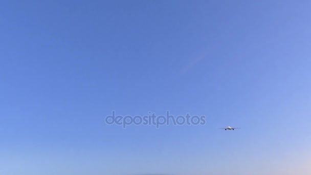 Комерційні літака, які прибувають до аеропорту Асунсьйон. Подорож до Парагваю концептуальні 4 к анімації — стокове відео