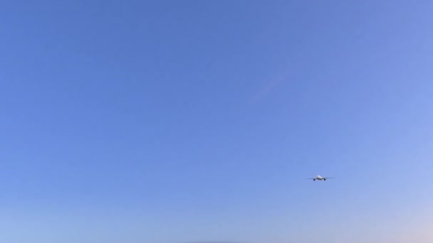 Commercial airplane arriving to Sao Bernardo do Campo airport. Travelling to Brazil conceptual 4K animation — Stock Video