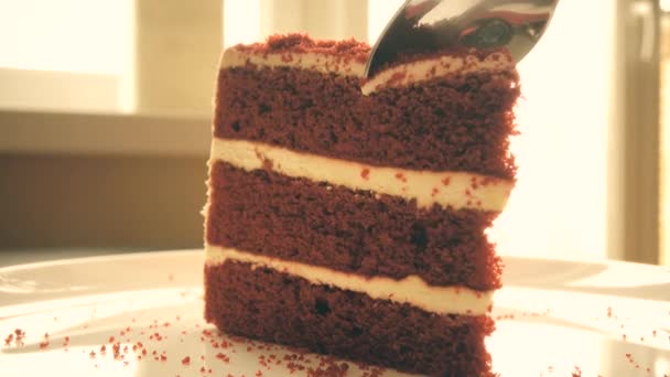Vzít kus sušenky dort s čajovou lžičku. 4 k close-up shot — Stock video