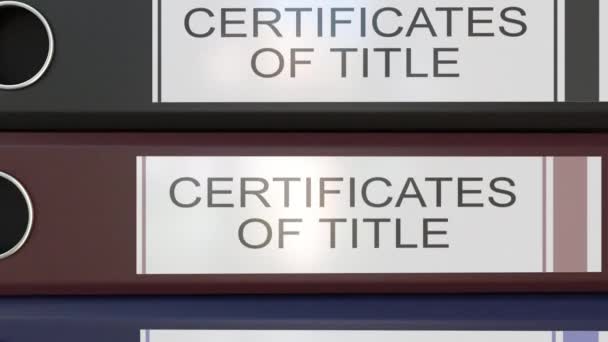 Pilha vertical de pastas de escritório multicoloridas com certicados de etiquetas de título — Vídeo de Stock