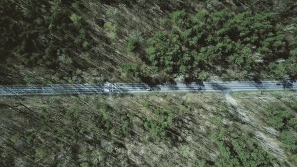 Vue aérienne de la route automobile dans la forêt par une journée ensoleillée de printemps, vue de dessus. Vidéo 4K — Video