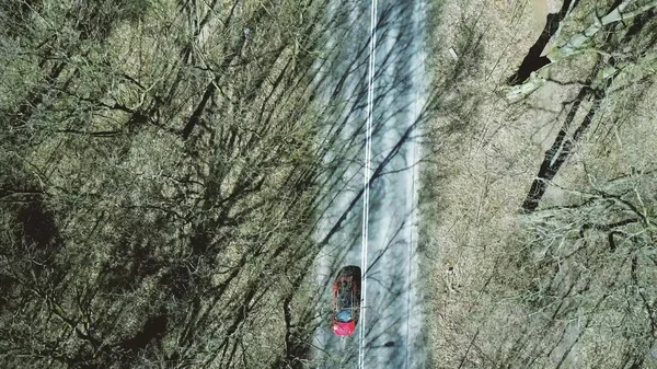 Letecký snímek auto silnici v lese na jarní den, pohled shora — Stock fotografie