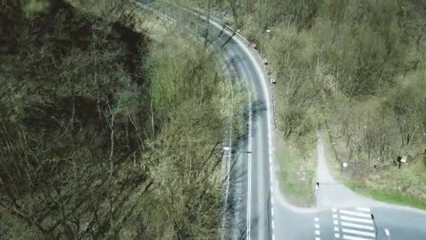 Foto aérea de la carretera en el bosque en un día de primavera. Vídeo 4K — Vídeo de stock