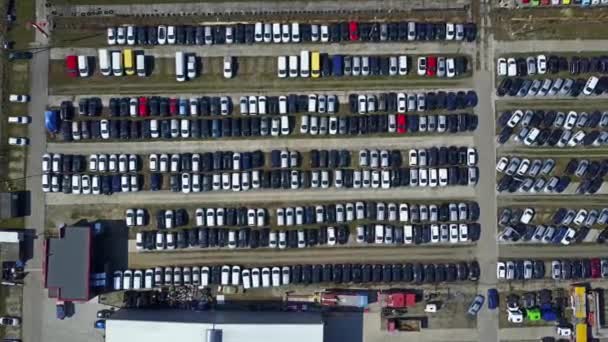 Fotografia aérea de carros novos e caminhões de estacionamento, vista superior. Vídeo 4K — Vídeo de Stock