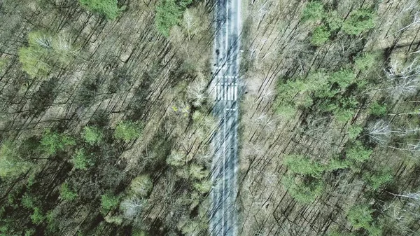 Plano aéreo de la carretera del coche y cruce en el bosque en un día de primavera, vista superior — Foto de Stock