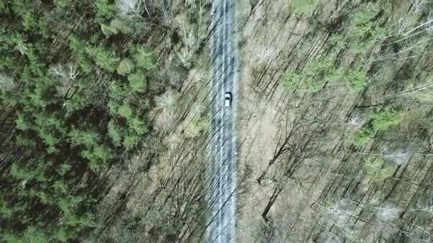 Воздушный кадр автомобильной дороги в лесу в весенний день, вид сверху. 4K видео — стоковое видео