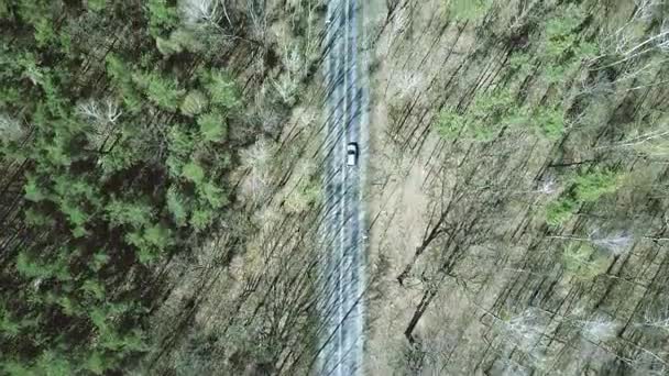 Plano aéreo de la carretera en el bosque en un día de primavera, vista superior. Vídeo 4K — Vídeo de stock