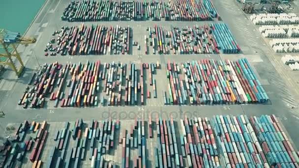 Aerial shot of big port container yard. Export, import, logistics concept. 4K video — Stock Video