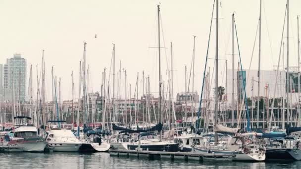 BARCELONA, ESPAÑA - 15 DE ABRIL DE 2017. Steadicam tiro de barcos de vela amarrados en el dique del puerto deportivo. Clip 4K — Vídeo de stock