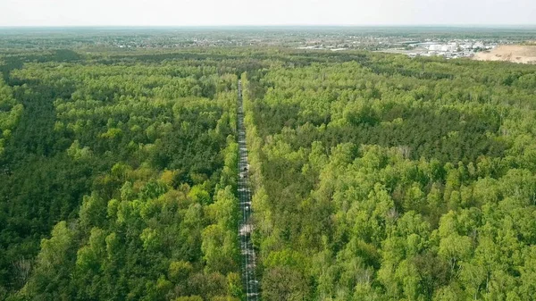 Tiro aéreo de uma estrada florestal reta — Fotografia de Stock