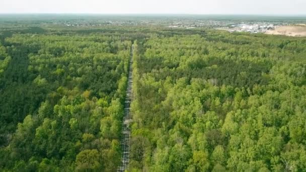Аэросъемка прямой лесной магистрали. 4K видео — стоковое видео