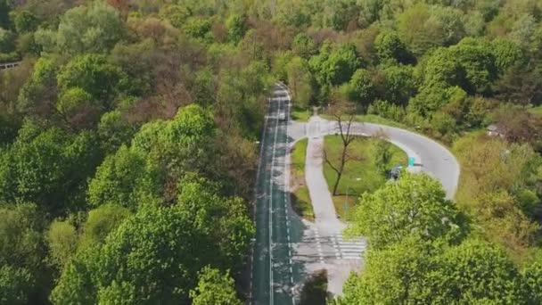 Bosque coche carretera curva — Vídeo de stock