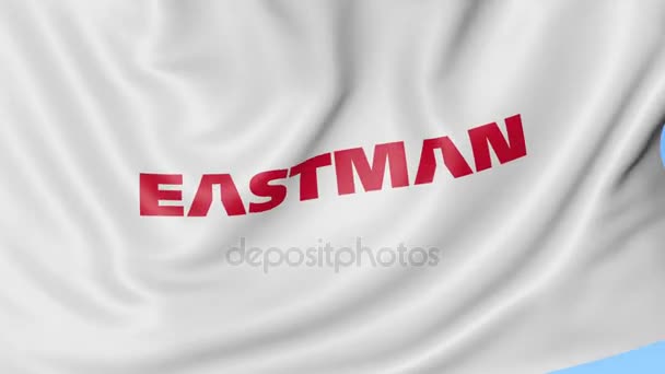 Bandera ondeando con el logotipo de Eastman Chemical Company. Seamles loop animación editorial 4K — Vídeo de stock