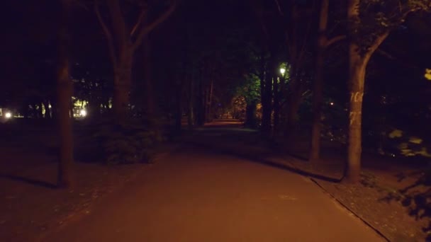 POV steadicam passeio ao longo do beco do parque de verão à noite. Clipe 4K — Vídeo de Stock