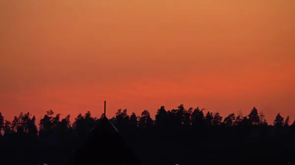 Силуэт летних лесов против оранжевого неба заката — стоковое фото