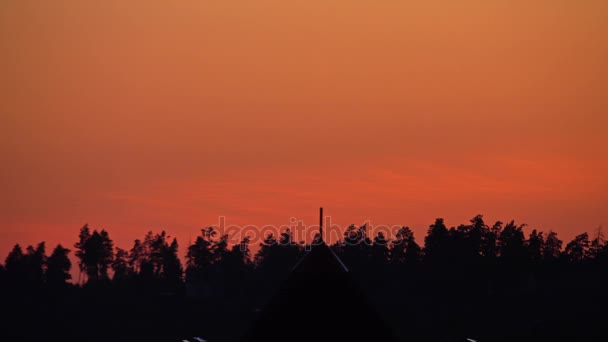 Silhueta de árvores de floresta de verão contra o céu de pôr-do-sol laranja. 4K pan shot — Vídeo de Stock