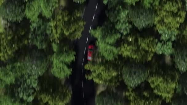 Vista aérea de cima para baixo do carro vermelho em excesso de velocidade em uma estrada florestal. Loop sem costura 4K clip — Vídeo de Stock