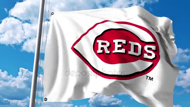 Macha flagą z Cincinnati Reds profesjonalny zespół logo. 4 k Video Redakcja — Wideo stockowe