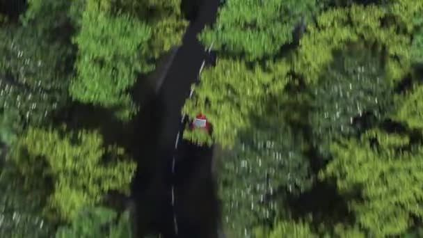 매력적인 숲도로에서 운전 하는 빨간 자동차를 따라 공중 카메라. 원활한 루프 4 k 클립 — 비디오