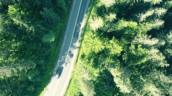 Luftaufnahme von oben nach unten von einem Tannenwald und einer europäischen ländlichen Autostraße — Stockfoto