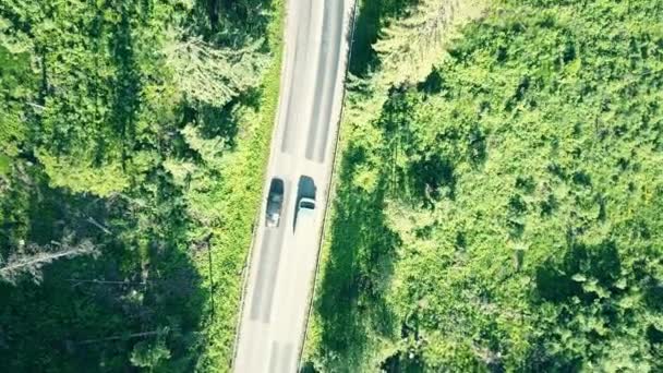 Luftaufnahme von oben nach unten von einem Tannenwald und einer europäischen ländlichen Autostraße — Stockvideo