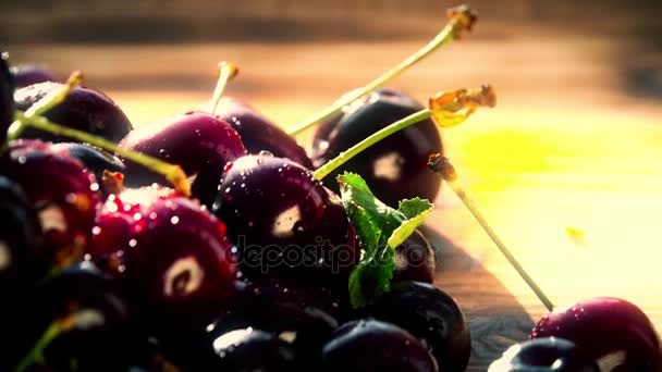 Pilha de cerejas doces maduras molhadas em uma mesa de madeira em um dia ensolarado de verão. 4K close-up pan shot — Vídeo de Stock