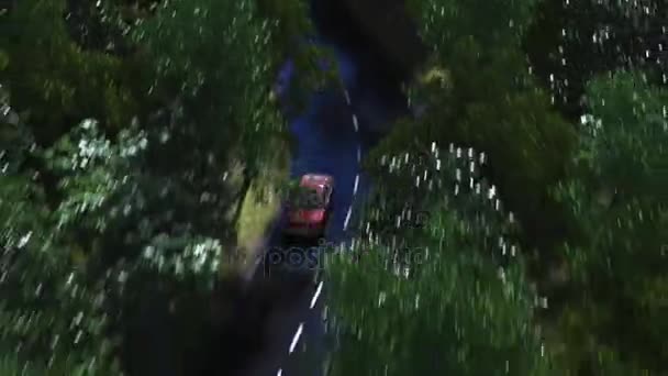 Clipe aéreo de carro vermelho acelerando em uma estrada de floresta curvilínea. loop sem costura 4K ani — Vídeo de Stock